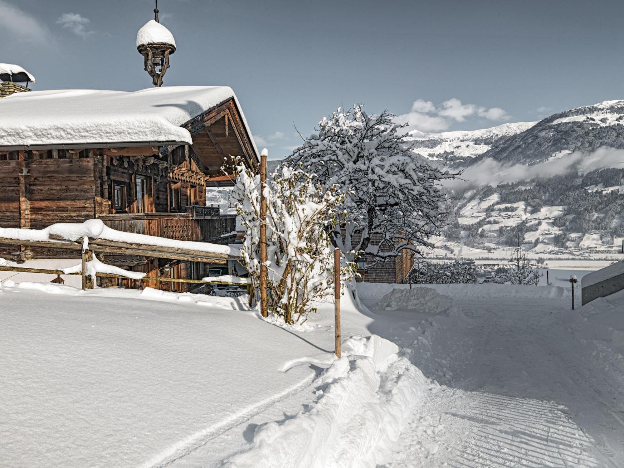Alpen-chalet-pankraz *